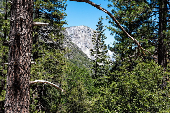 Yosemite (183 of 103)