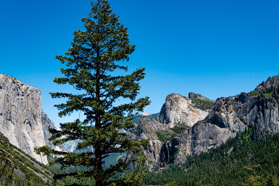 Yosemite (196 of 103)