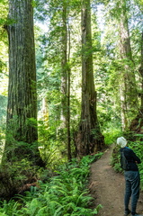 CA Redwoods (31 of 44)