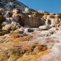 Yellowstone (308 of 21)