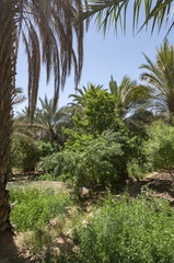 Morocco2022 (326 of 129)