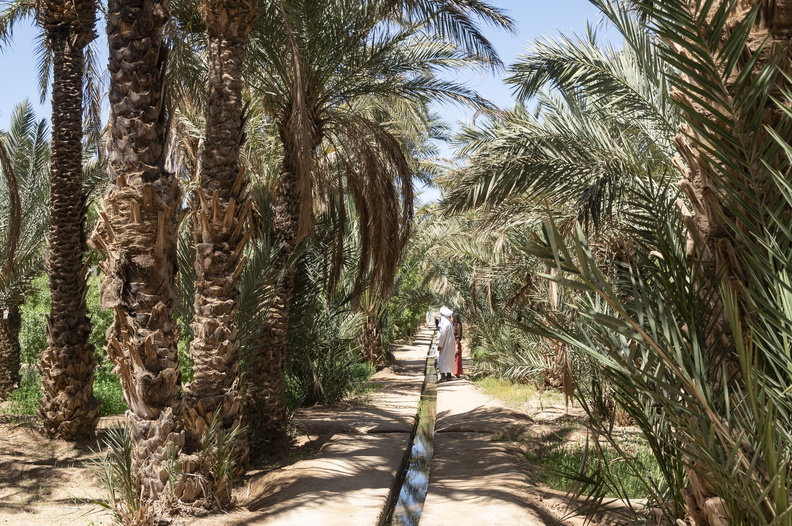Morocco2022 (328 of 129).jpg